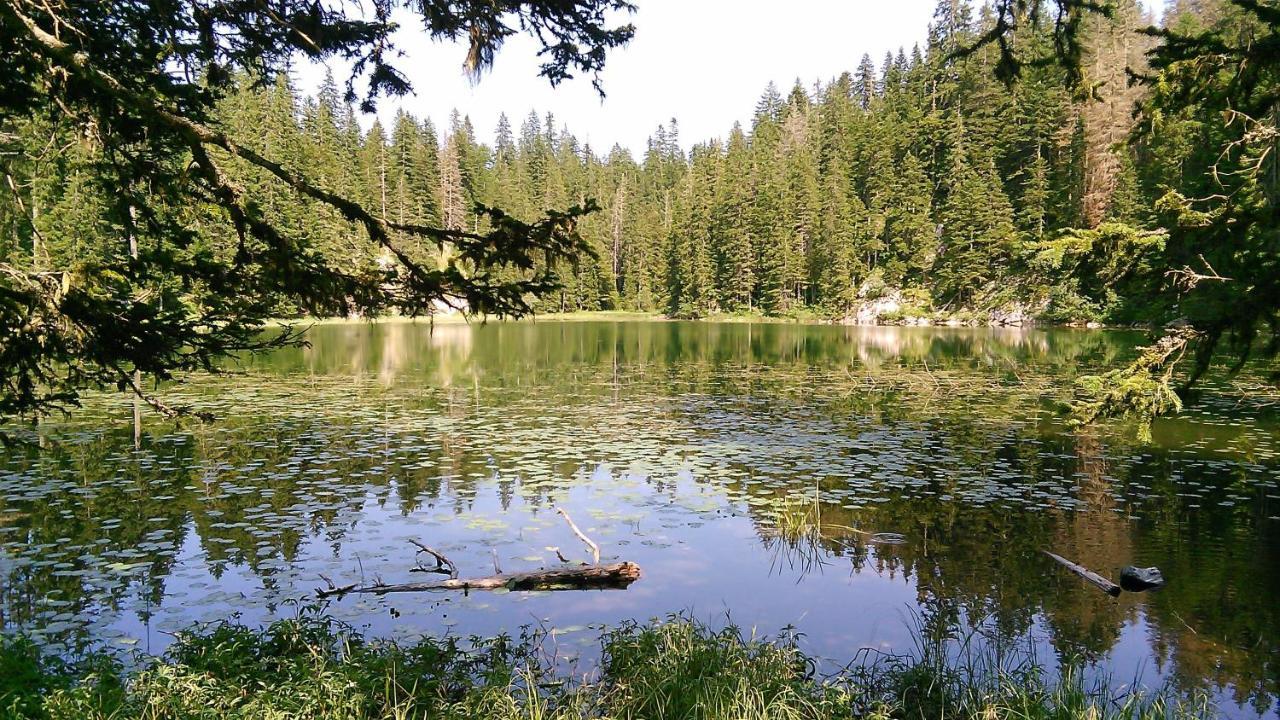 Cottage Bosaca Žabljak Dış mekan fotoğraf