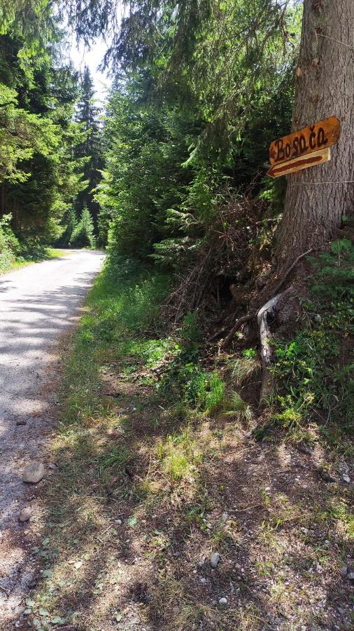 Cottage Bosaca Žabljak Dış mekan fotoğraf