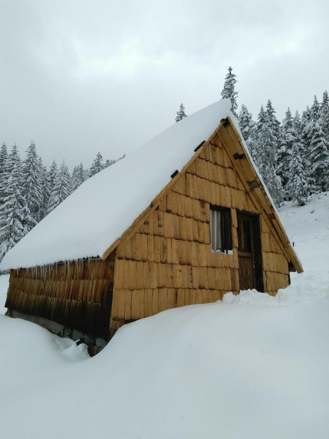 Cottage Bosaca Žabljak Dış mekan fotoğraf