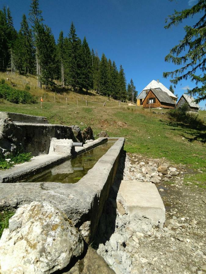 Cottage Bosaca Žabljak Dış mekan fotoğraf