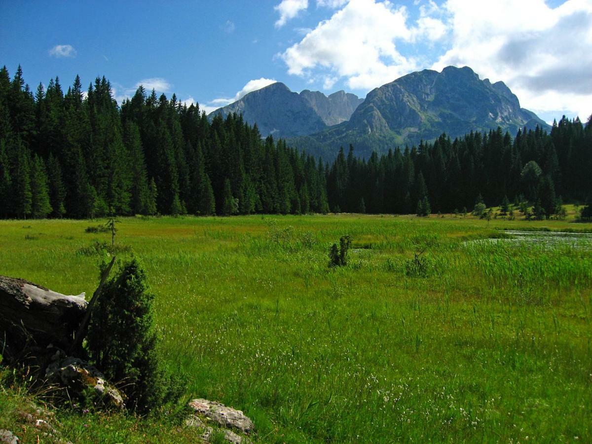 Cottage Bosaca Žabljak Dış mekan fotoğraf