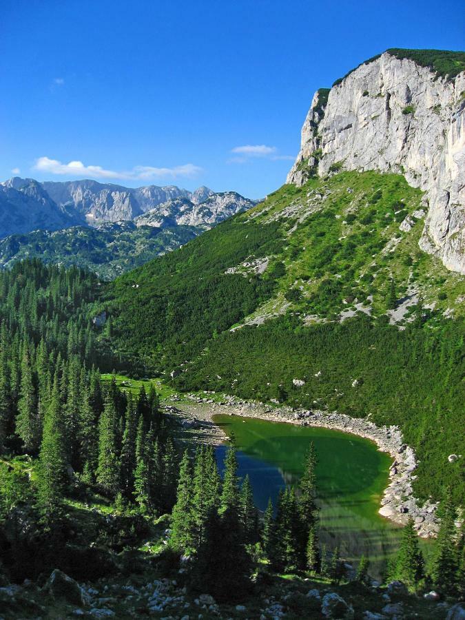 Cottage Bosaca Žabljak Dış mekan fotoğraf